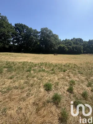 Land at Châteaubriant (44110)