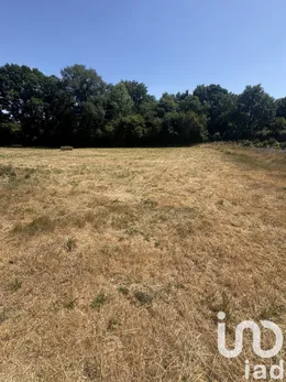 Land in Châteaubriant (44110)