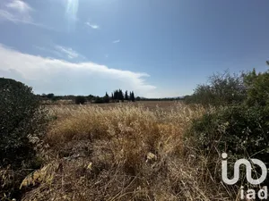 Terrain agricole  à Rivesaltes (66600)