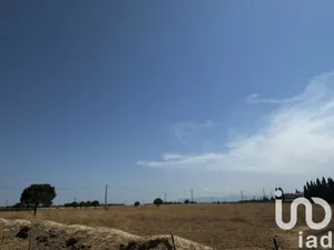 Farm land at Salses-le-Château (66600)
