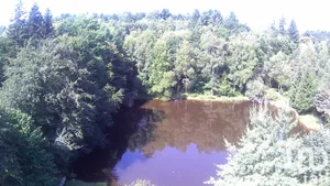 Terrain loisirs à Nieul (87510)