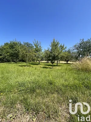 Land at Launstroff (57480)