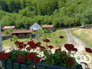 House in Lutzelbourg (57820)