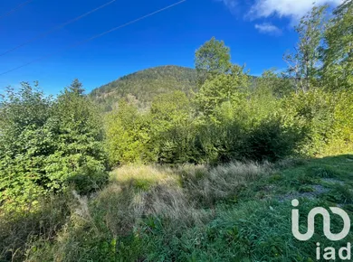 Terrain à La Bresse (88250)