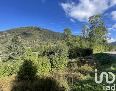 Terrain à La Bresse (88250)