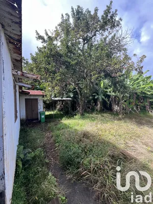 Maison à Petite-Île (97429)