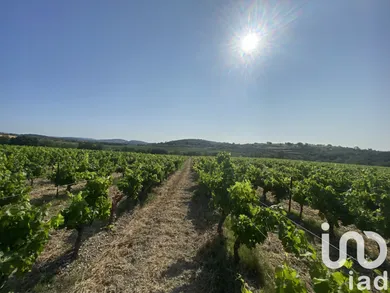 Farm land at Pouzolles (34480)