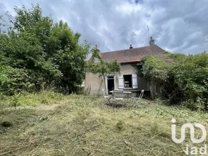 House at Menou (58210)