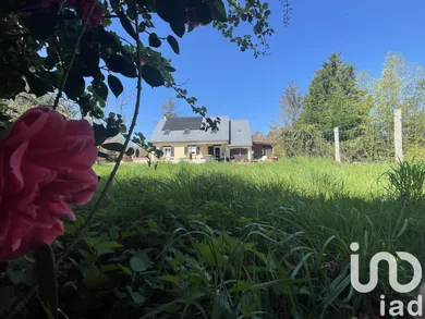 Maison traditionnelle à La Breille-les-Pins (49390)