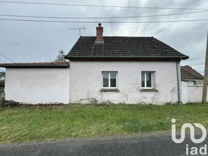 House at Ternant (58250)