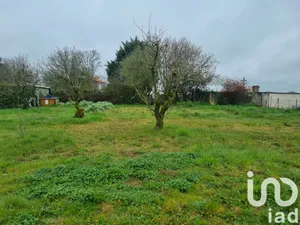 Land at Yzernay (49360)