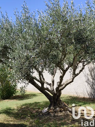 Maison traditionnelle à Aujargues (30250)