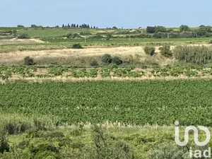 Terrain agricole  à Magalas (34480)