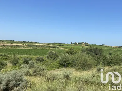 Terrain agricole à Magalas (34480)