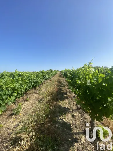 Terrain agricole à MAGALAS (34480)