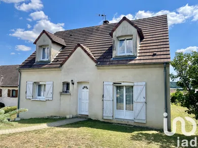 House at Nailly (89100)