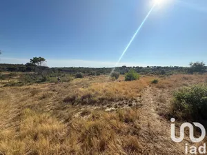 Land in VAUVERT (30600)