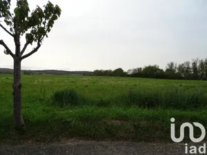 Land at Le Burgaud (31330)