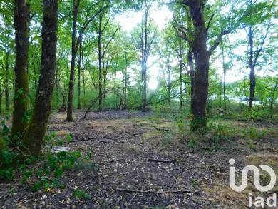 Terrain à Salbris (41300)