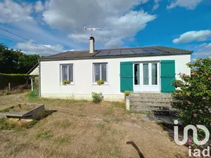 Traditional house at Coullons (45720)