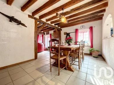 Longère à SAINT BRISSON SUR LOIRE (45500)