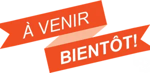 Appartement à Reims (51100)
