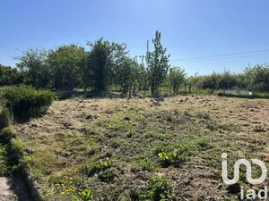 Land in Chargé (37530)