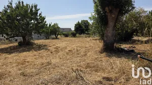 Land at Loireauxence (44370)