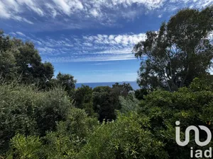 House at Rayol-Canadel-sur-Mer (83820)