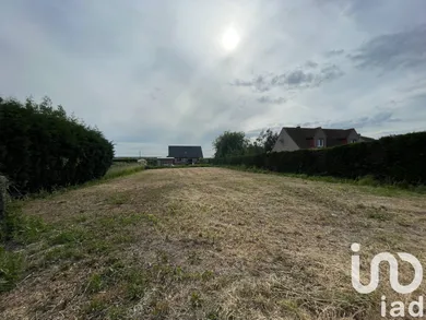 Building plot at Holque (59143)