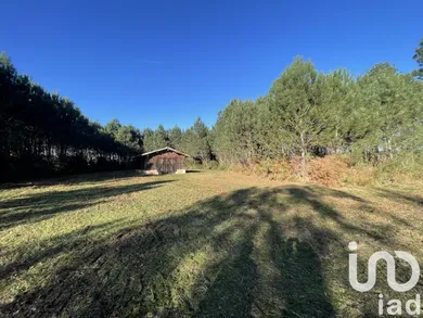 Terrain à Salles (33770)