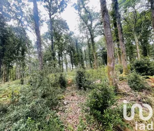 Terrain à Vigneux-de-Bretagne (44360)