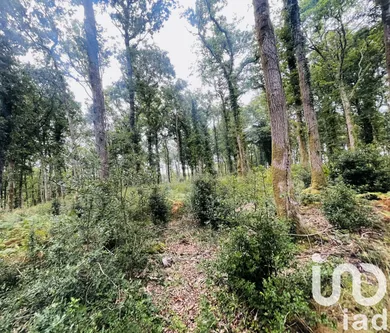 Terrain à Vigneux-de-Bretagne (44360)