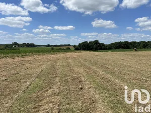 Terrain à Saint-Martin-d'Armagnac (32110)