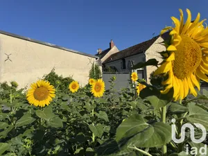 Maison à Cravant-les-Côteaux (37500)