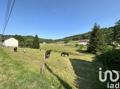 Terrain à Walscheid (57870)