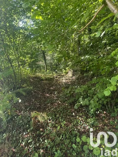 Terrain à corréze (19800)