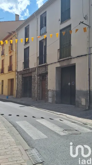 Immeuble à Arles Sur Tech (66150)