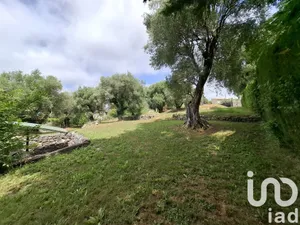 Terrain à bâtir à Roquefort-les-Pins (06330)