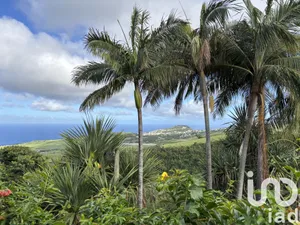 House at Saint-Joseph (97480)