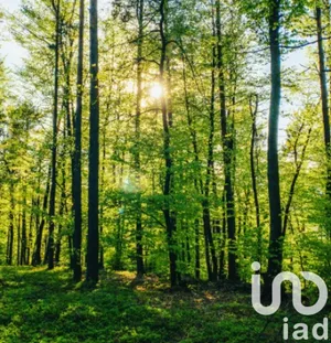 Terrain à Beaulieu-sous-Parthenay (79420)