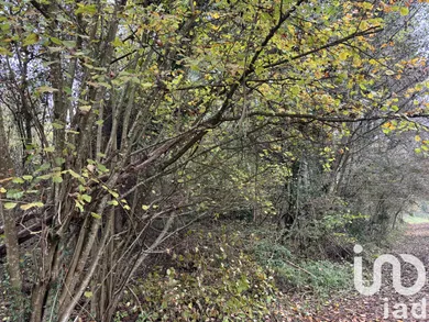 Terrain à Lorry-lès-Metz (57050)