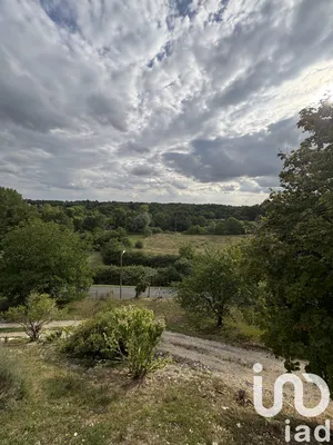 Maison à Châteauneuf-sur-Cher (18190)
