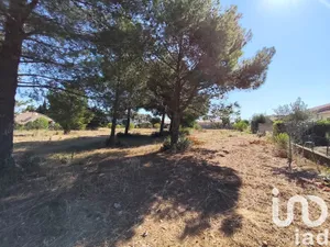 Terrain à Lézignan-Corbières (11200)