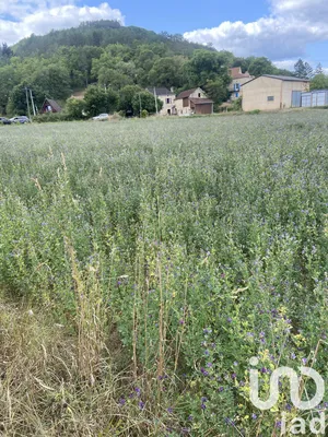 Land at Saint-Cybranet (24250)