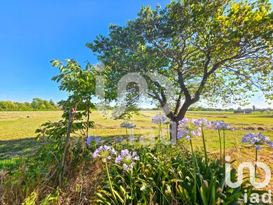 Mas à Arles (13200)