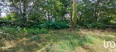 Terrain à Cestas (33610)