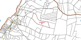 Terrain à Lorgues (83510)