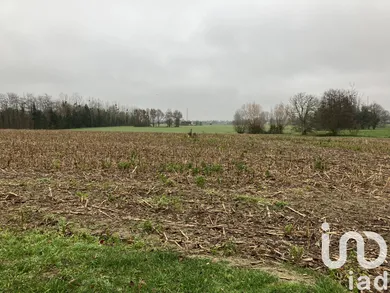 Building plot at Mulsanne (72230)