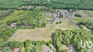 Domaine à Saint-Julien-en-Born (40170)